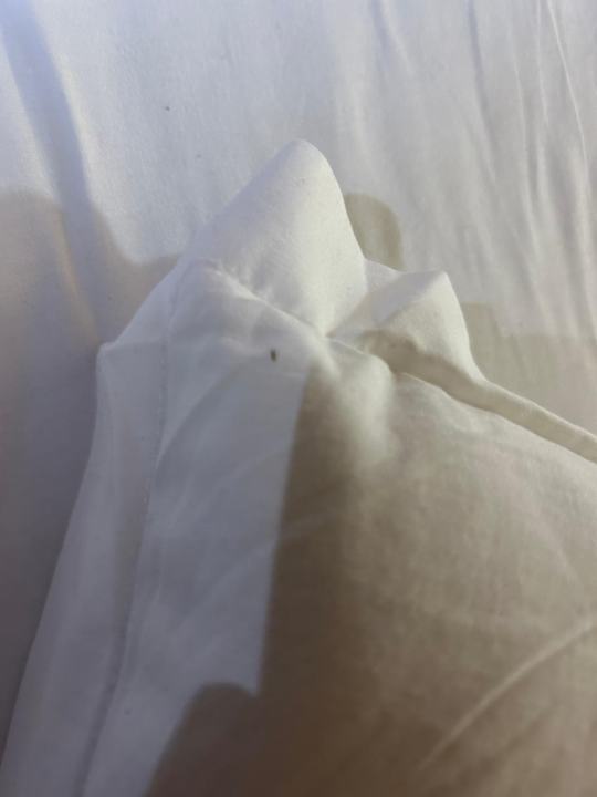 Zimmer Alba Queen Hotel