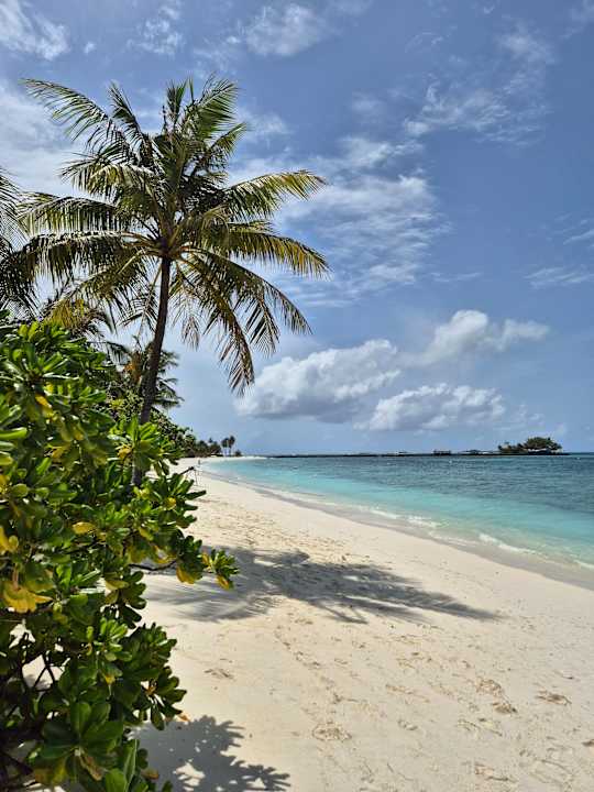 Außenansicht Kuredu Island Resort & Spa