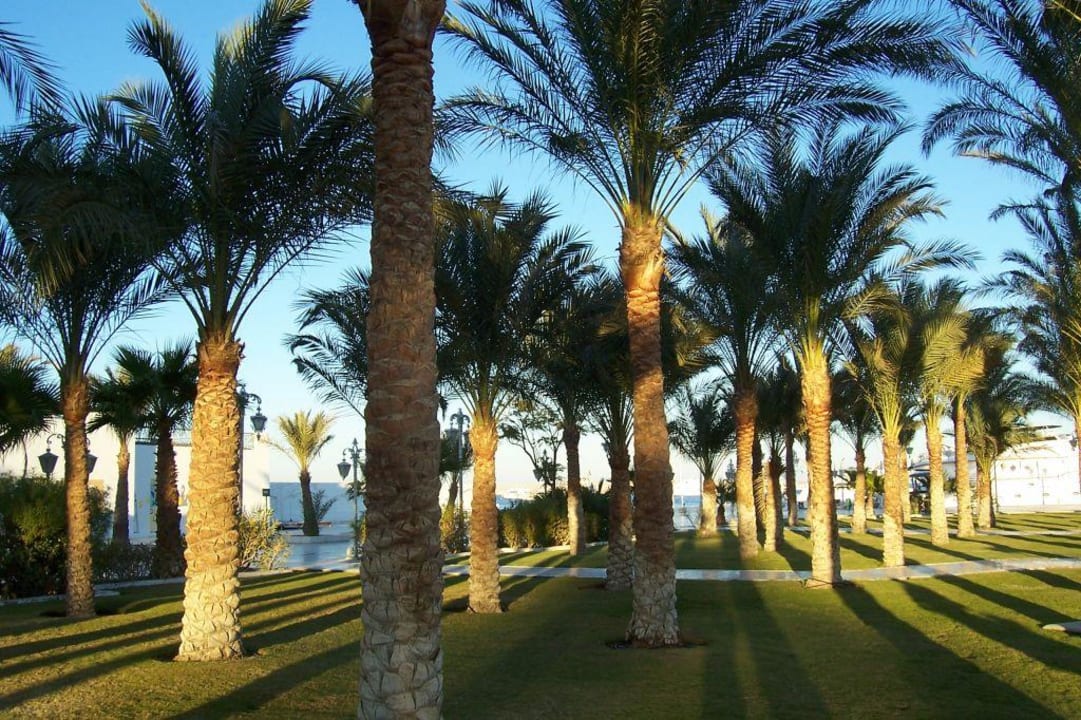 Palmengarten The Grand Hotel Hurghada