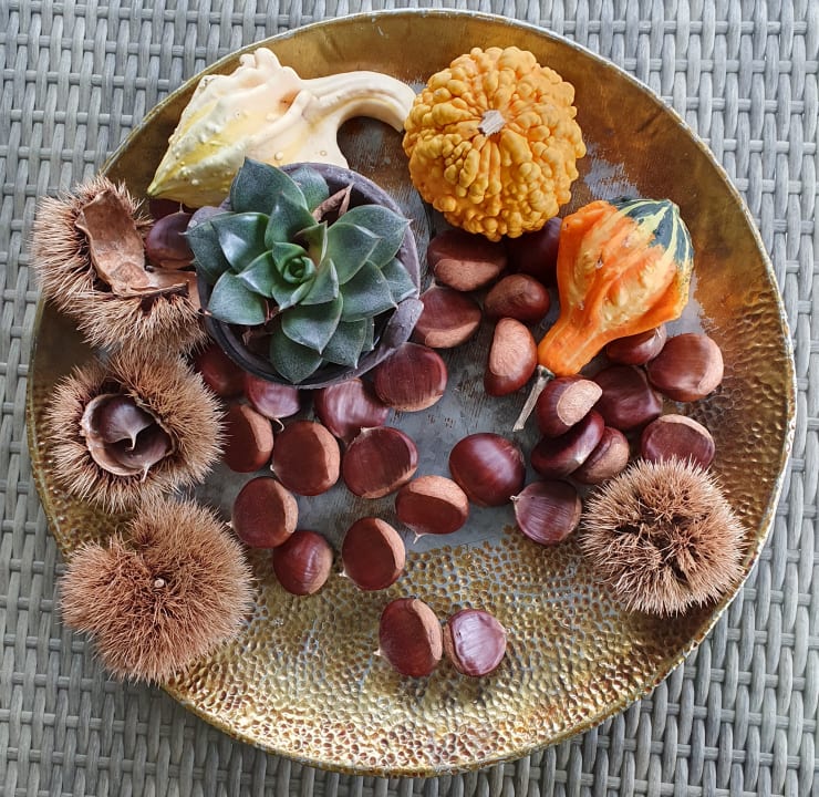 Sonstiges Hotel Barbate