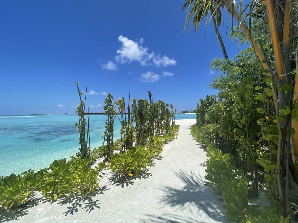 Strand TUI BLUE Olhuveli Romance