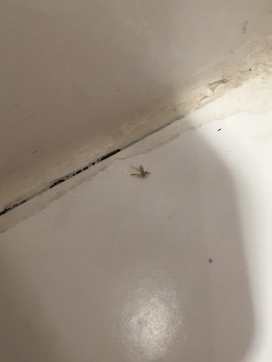 Zimmer Hotel Müller