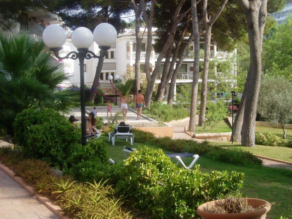 Hotelanlage Hotel Beach Club Font de Sa Cala