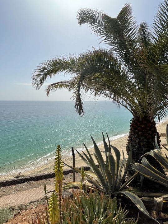 Ausblick ROBINSON ESQUINZO PLAYA