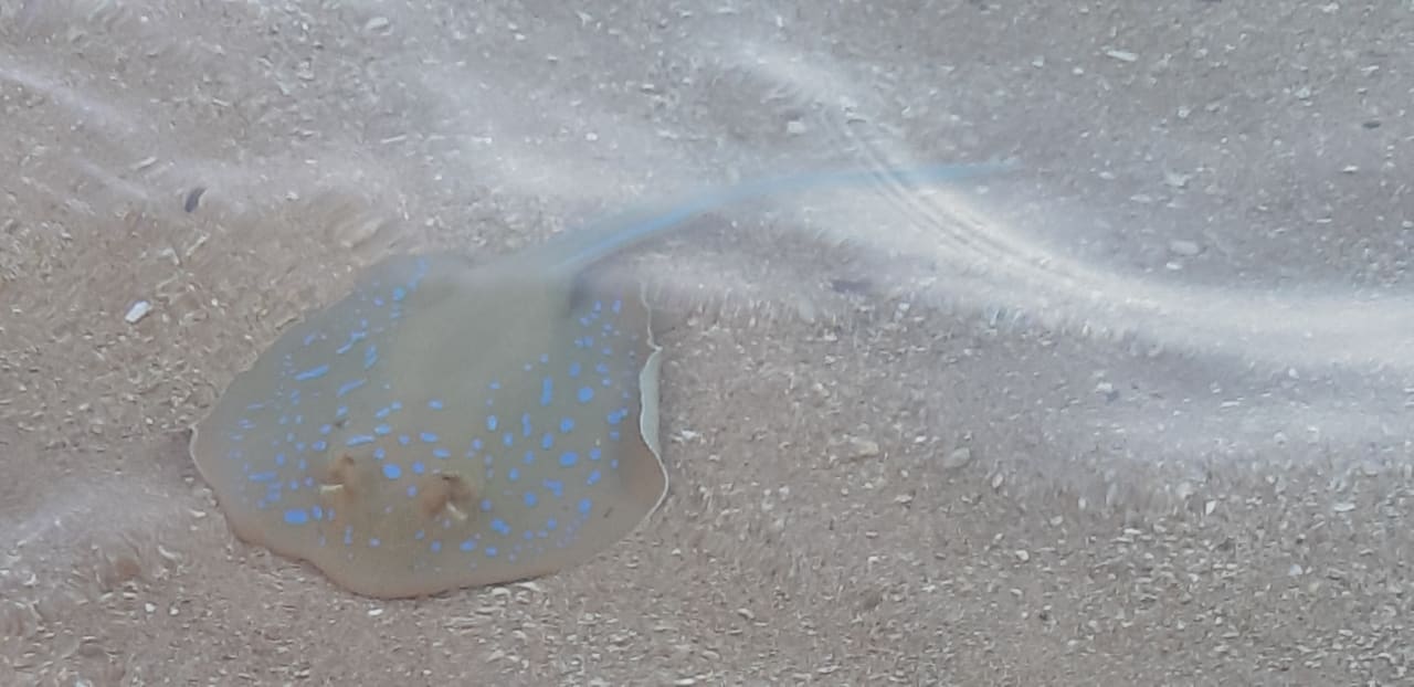 Strand Sultan Gardens Resort