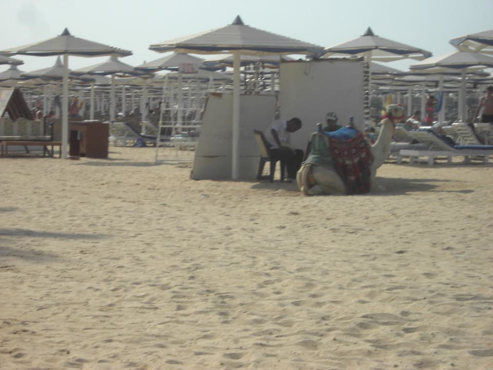 Foto Pickalbatros Dana Beach Resort - Hurghada