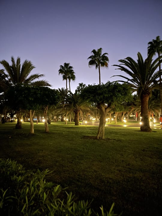 Gartenanlage Hotel Riu Gran Canaria