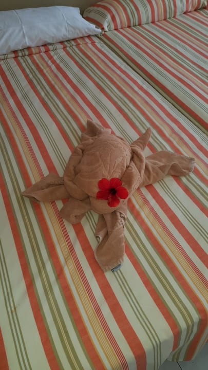 Jeden Tag wurde etwas aus Handtüchern eine Schildkröte gemac SBH Hotel Taro Beach