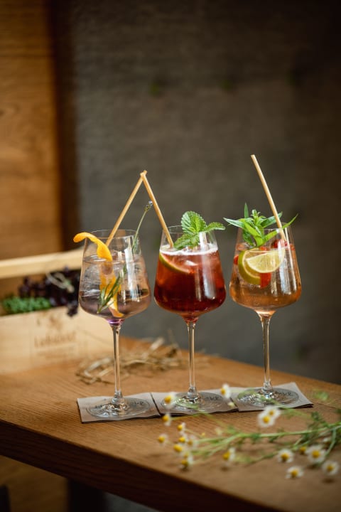 Gastro Kräuterhotel Hochzillertal