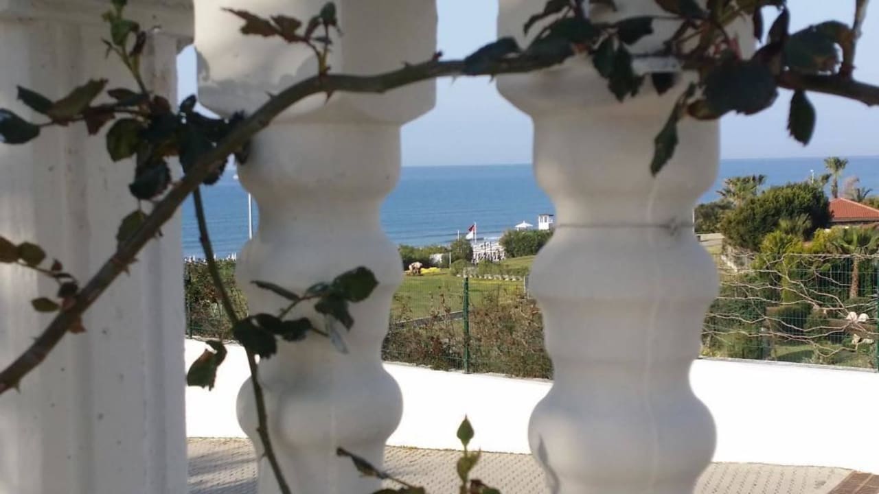 Hotel Alba Queen Alba Queen Hotel