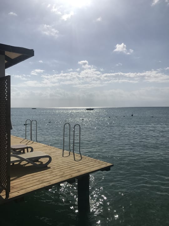 Strand Royal Seginus