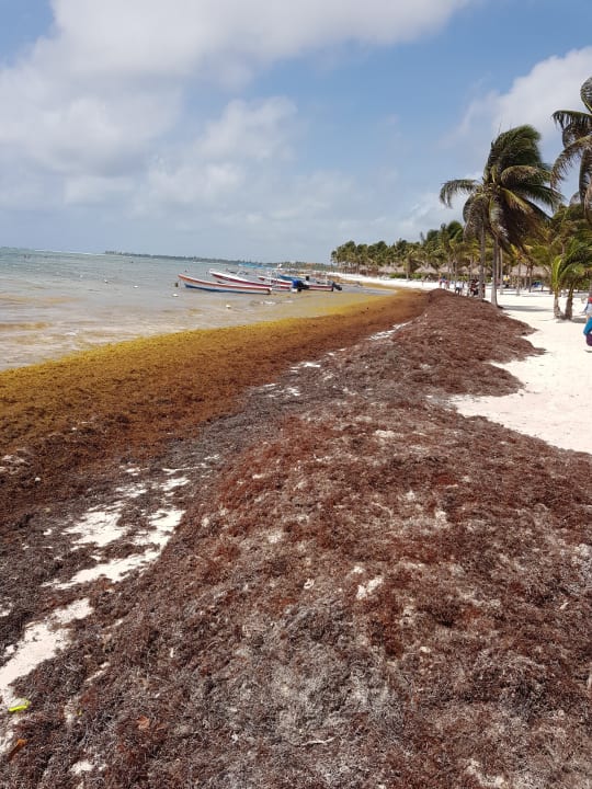 Strand Akumal Bay Beach & Wellness Resort