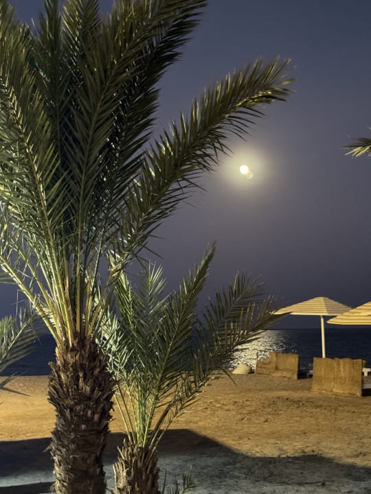 Außenansicht Menaville Safaga