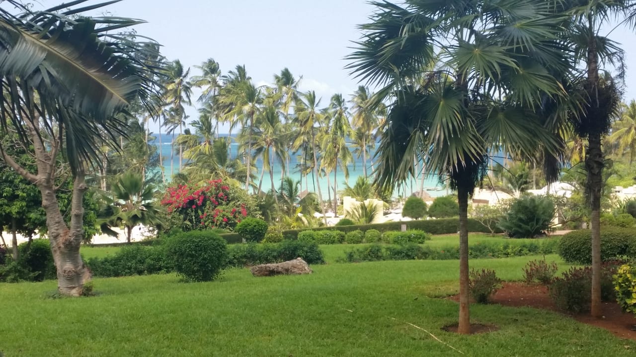 Ausblick TUI Blue Bahari Zanzibar