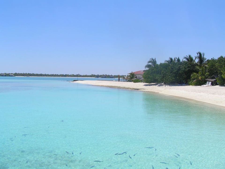 Blick auf den Strandabschnitt der Wasserbungis Summer Island Maldives