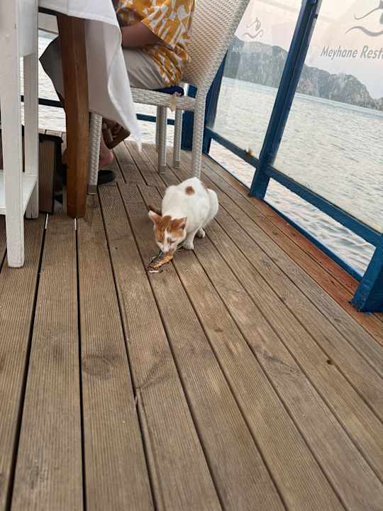 Strand Labranda Mares Marmaris