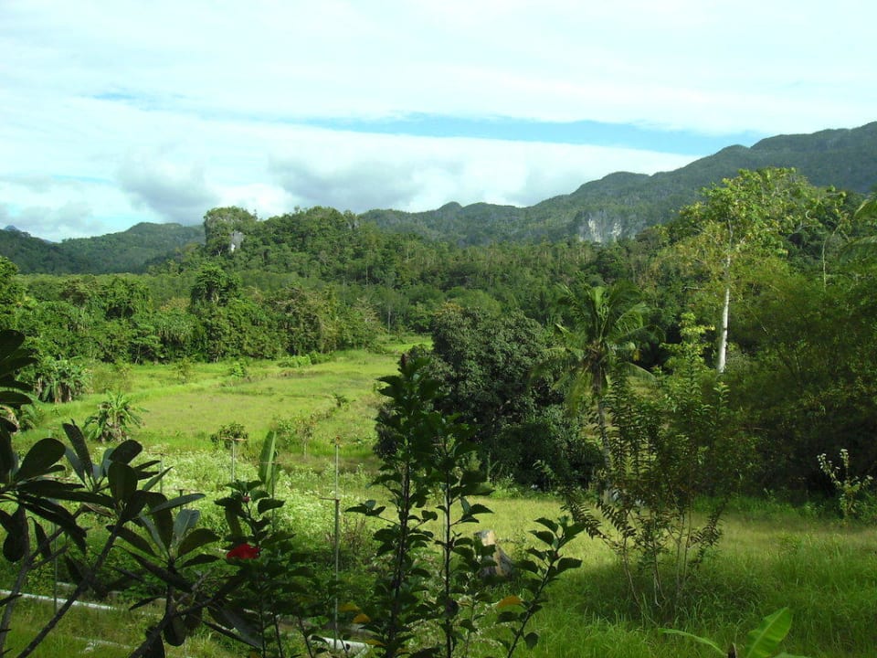Landschaftsbild auf dem Weg zur Küste in Sabang Bambua Nature Park Resort
