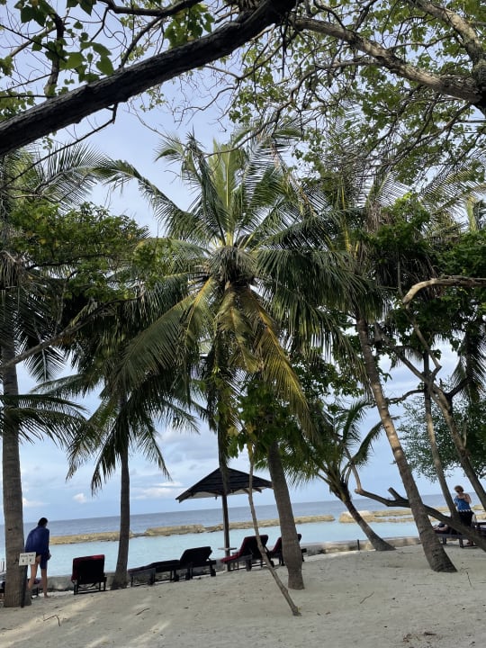Zimmer Ellaidhoo Maldives by Cinnamon