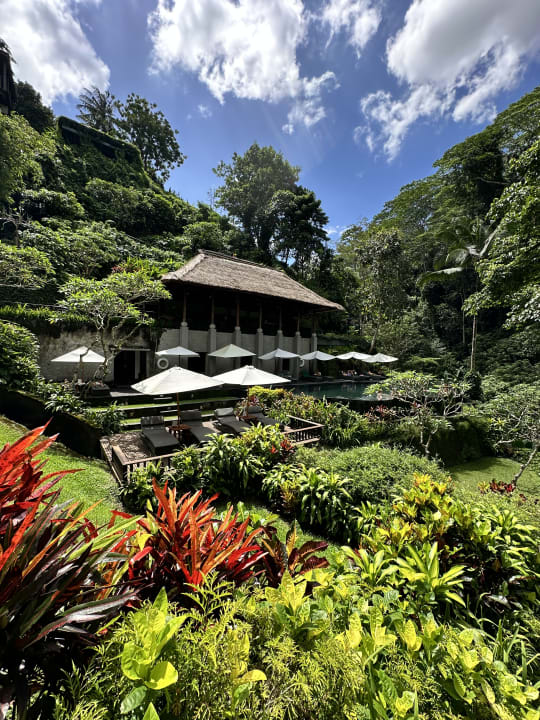Gartenanlage Maya Ubud Resort & Spa Bali