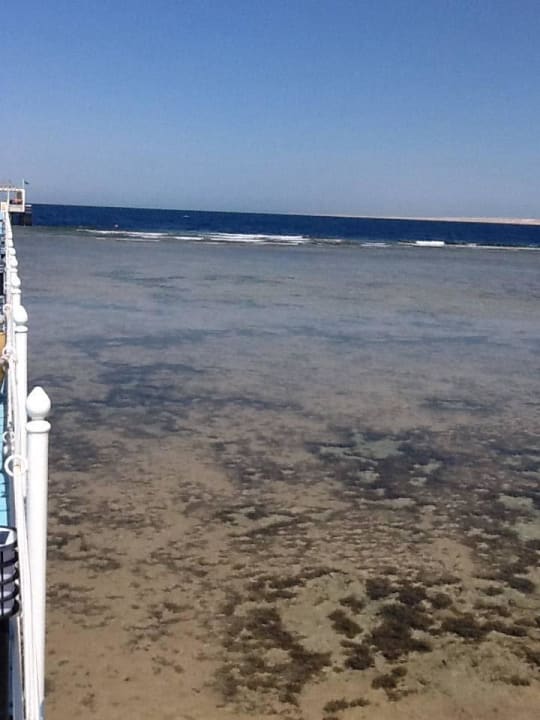 Bei Ebbe Rixos Sharm El Sheikh Adults Only 18 +