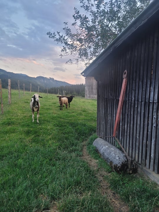 Sport & Freizeit Bauernhof Ablass Familie Zettel