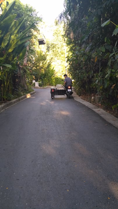 Gartenanlage Moracea by Khao Lak Resort