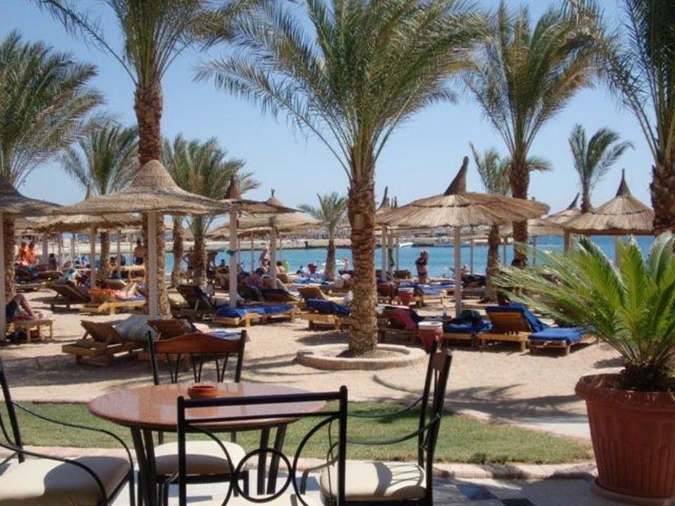 Von der Bar zum Strand Beach Albatros Resort