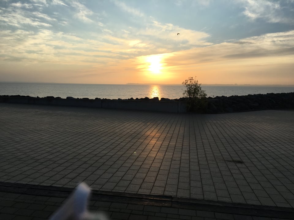 Ausblick BEECH Resort Boltenhagen