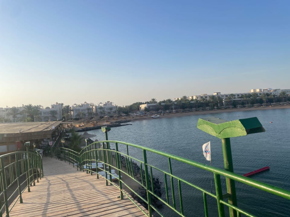 Ausblick Desert Rose