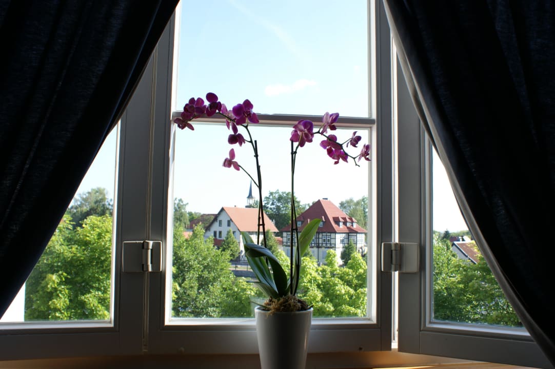Blick aus dem Fenster Landhaus Zu den Rothen Forellen