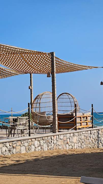 Strand Seashell Vega