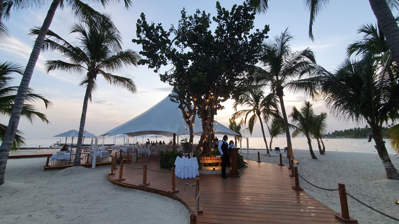 Gastro Hotel Viva Dominicus Beach by Wyndham - All Inclusive Resort