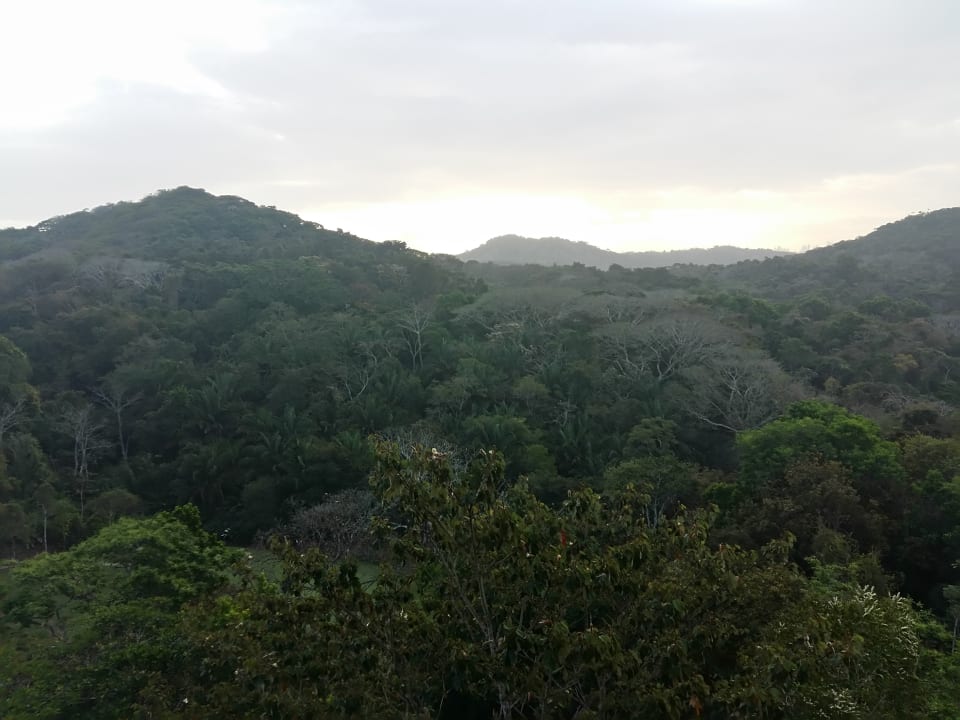 Ausblick Summit Rainforest & Golf Resort