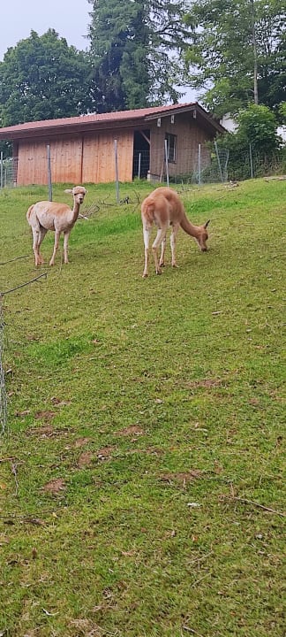 Gartenanlage Ferienhof Moyer