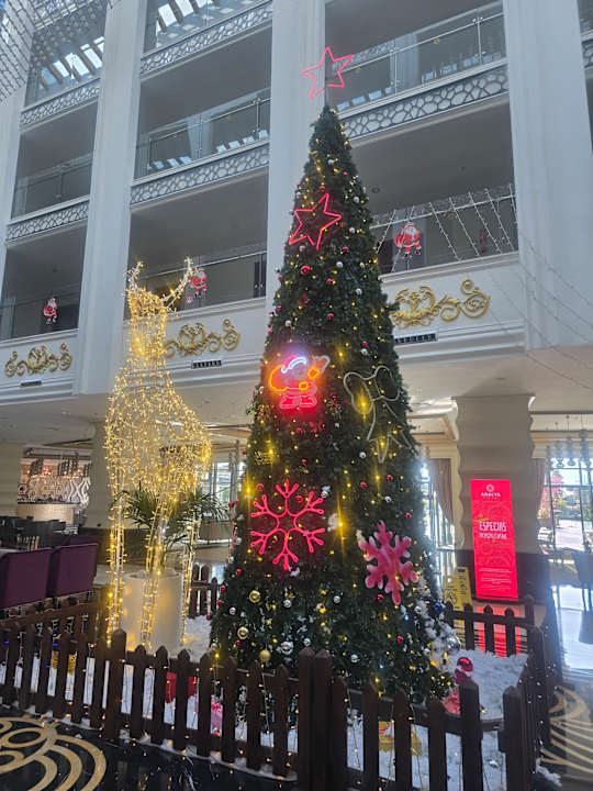 Lobby Adalya Elite Lara