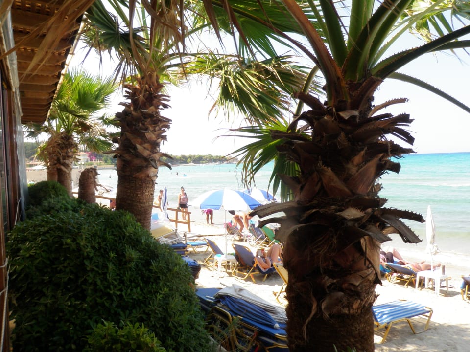 Plaża Tsilivi Beach Hotel