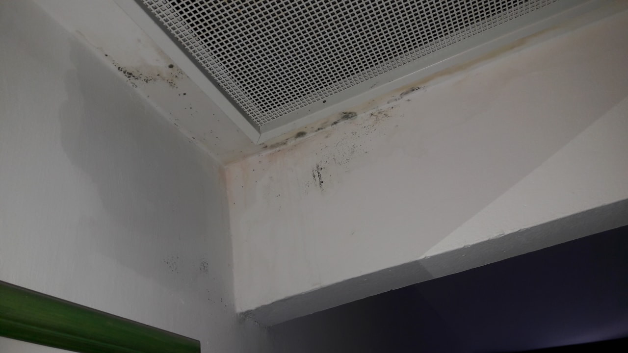 Zimmer Maistra Select Funtana All Inclusive Resort