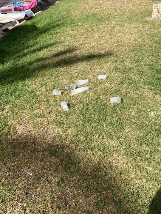 Gartenanlage SBH Costa Calma Beach Resort