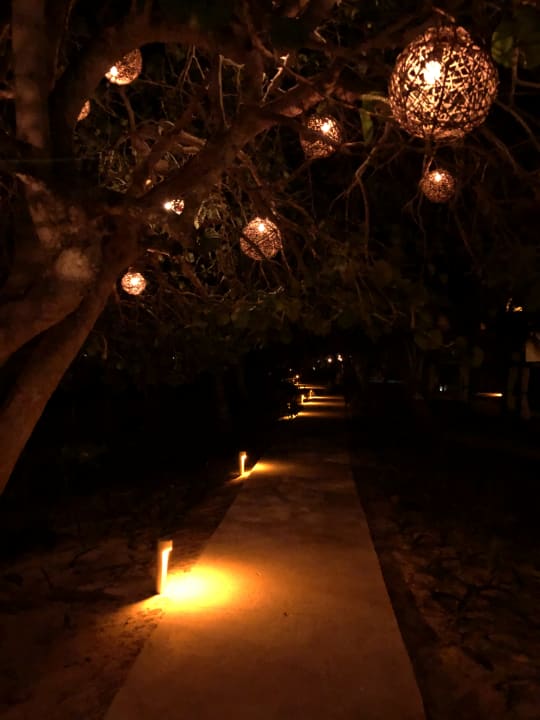 Gartenanlage Akumal Bay Beach & Wellness Resort