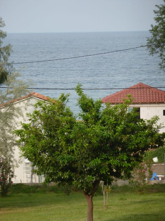 Ausblick Zimmer 620 alltoura Club Hotel Poseidon Palace