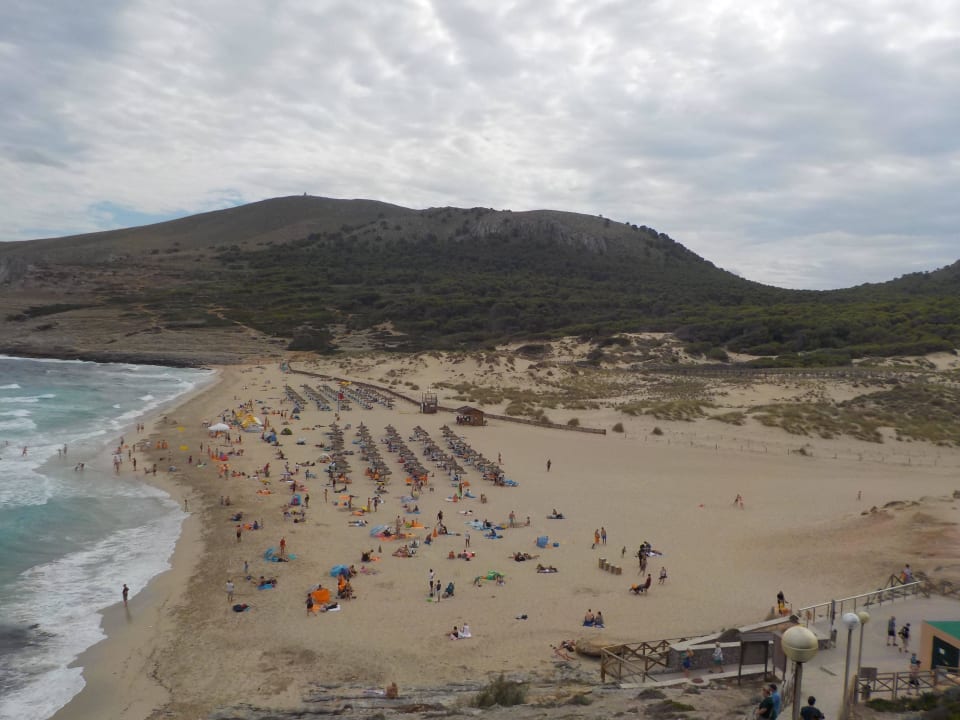 Blick vom Hotel zum Strand VIVA Cala Mesquida Resort & Spa