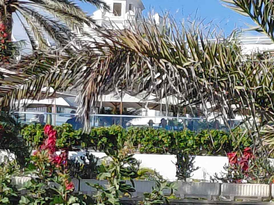 Pool Hotel Riu Palace Maspalomas Adults Only