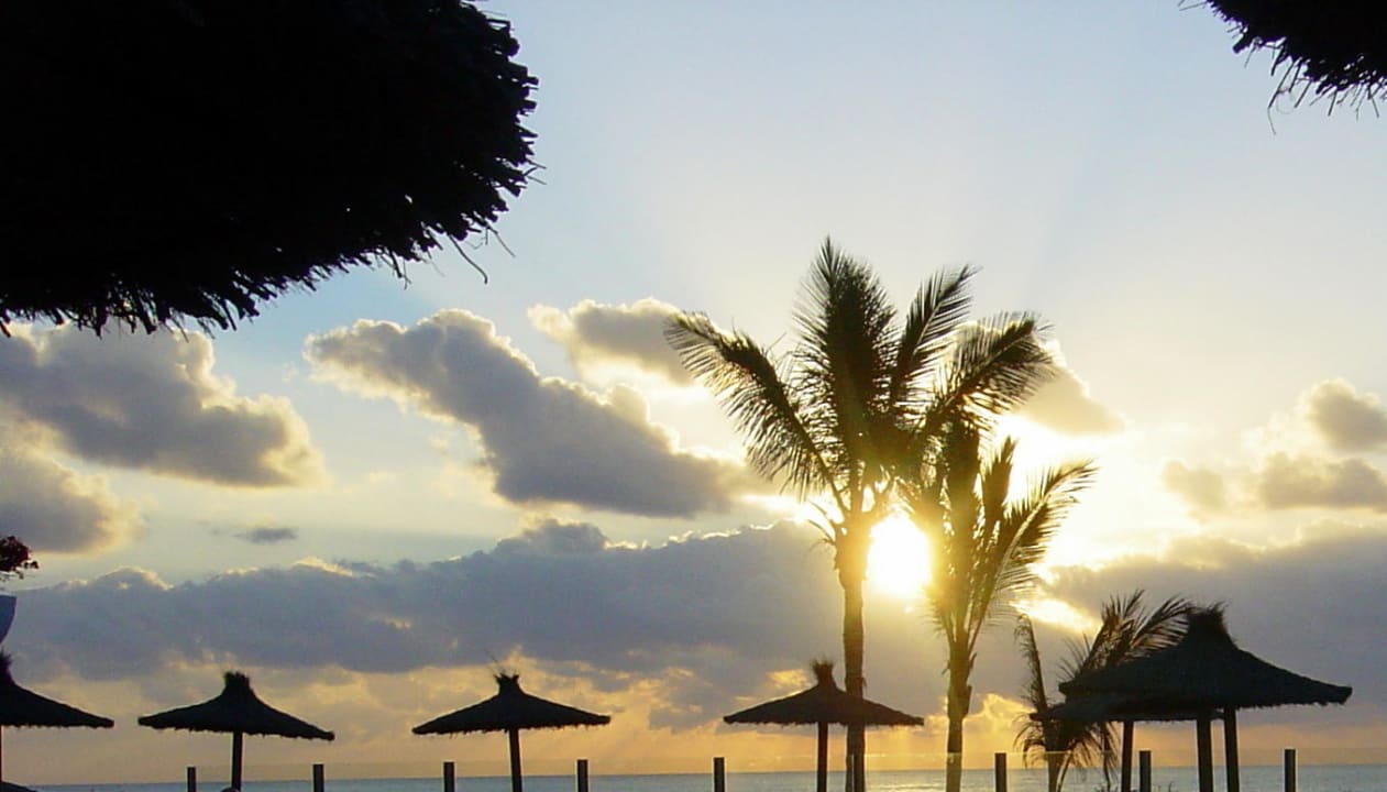 Sonnenaufgang allsun App.-Hotel Barlovento