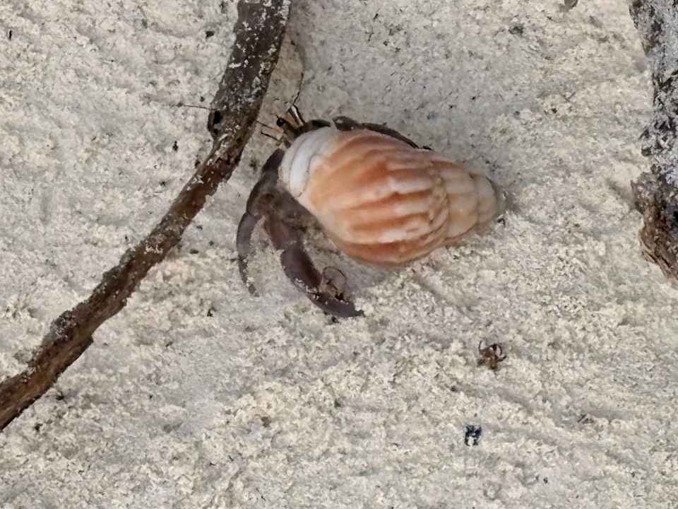 Strand Bandos Maldives