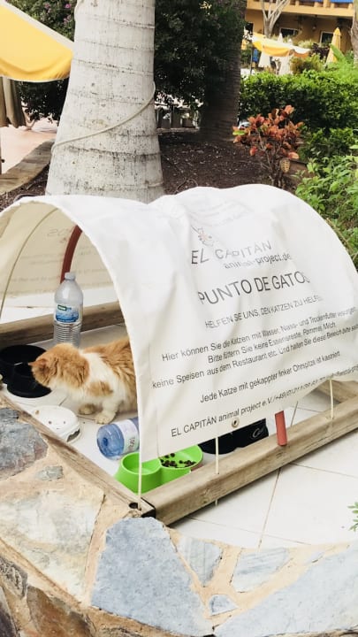 Gartenanlage Club Hotel Drago Park