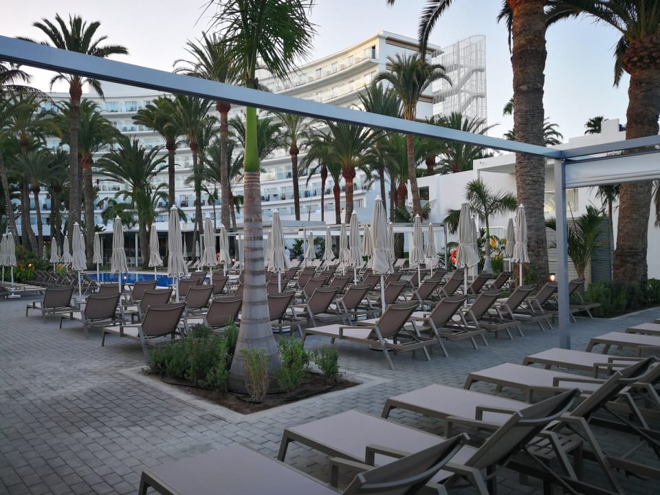 Sport & Freizeit Hotel Riu Palace Palmeras