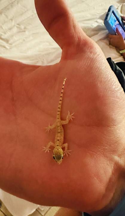 Sonstiges Akassia Swiss Resort