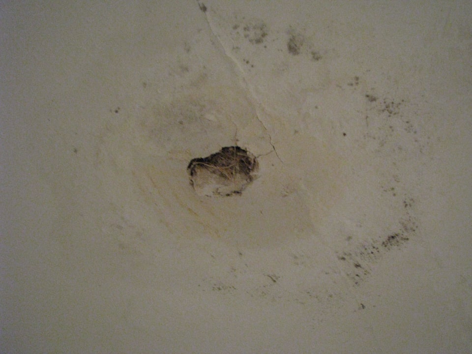 Schimmel vorm Zimmer The Club Hammamet