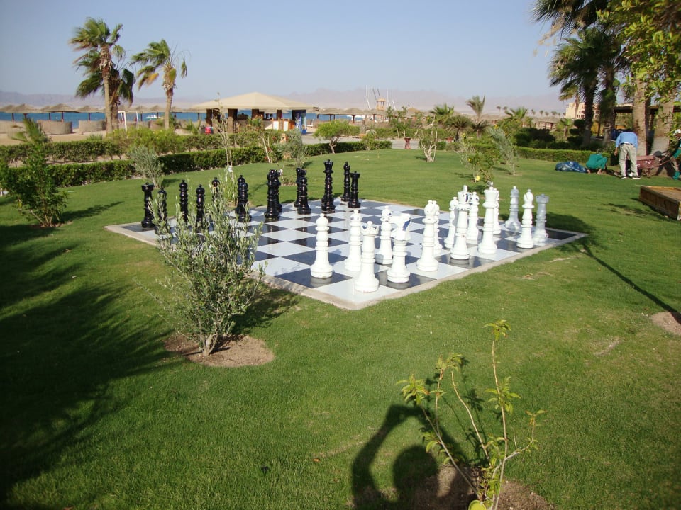 Sport & Freizeit Hotel Sheraton Soma Bay Resort