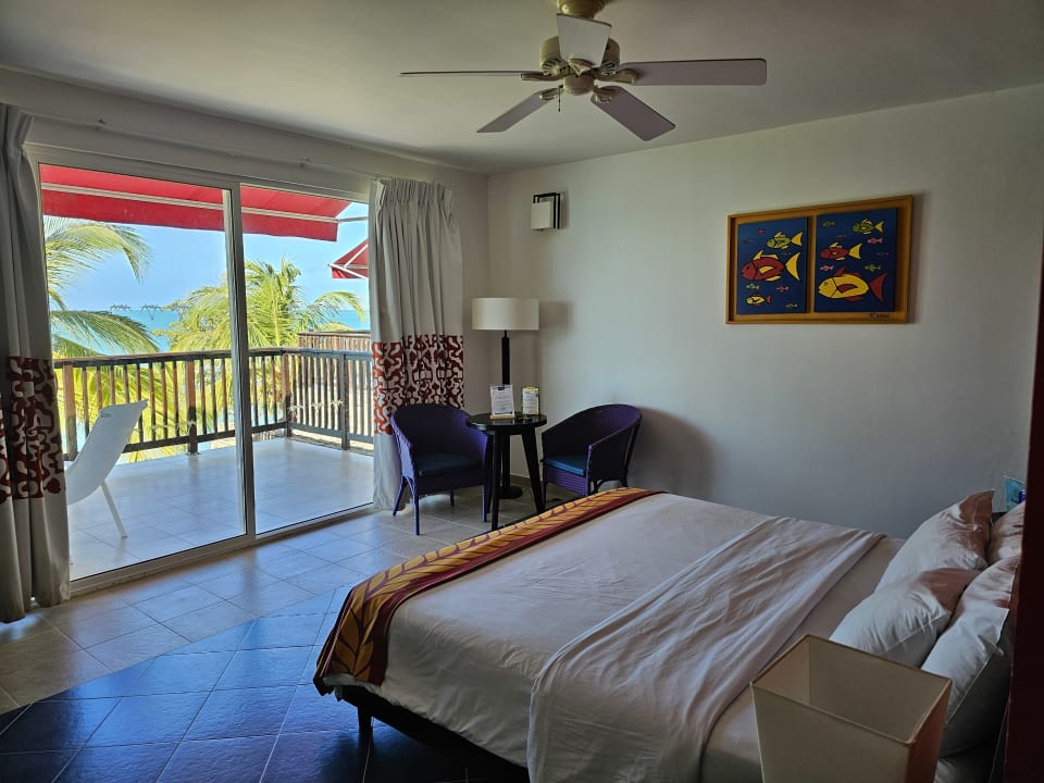 Zimmer Decameron Baru